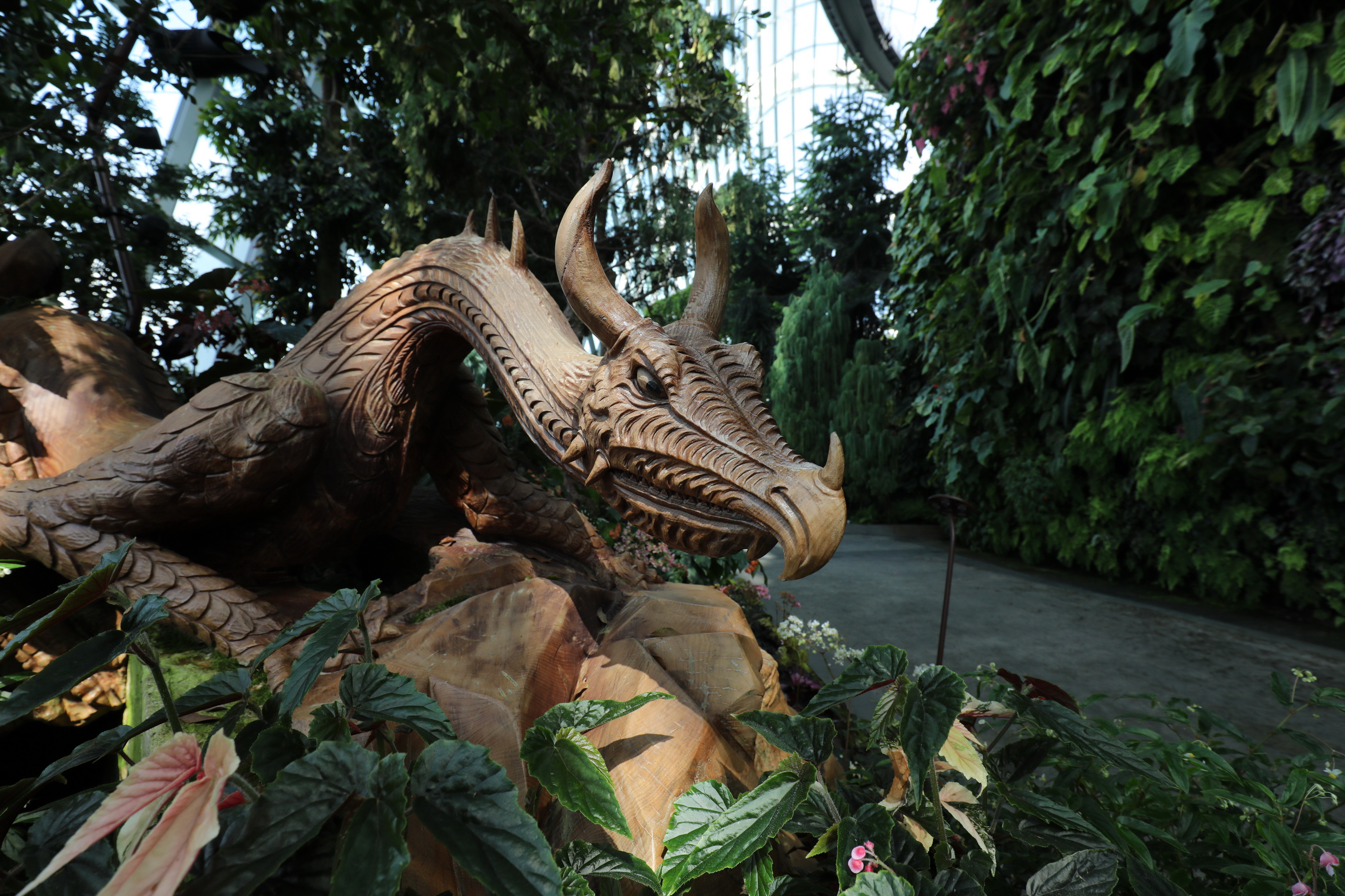 2020 02 03 17 01 11 Canon EOS 5D Mark IV 0035